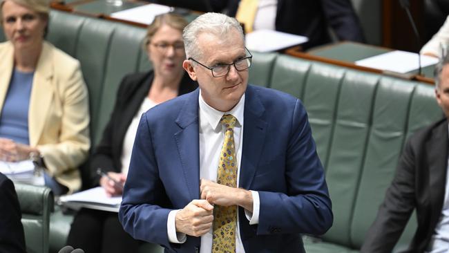 Federal Minister for the Arts, Tony Burke said he was “shocked” by Mr Sabsabi’s works and insists he was “not involved” in his selection for the Venice Biennale. Picture: NewsWire / Martin Ollman