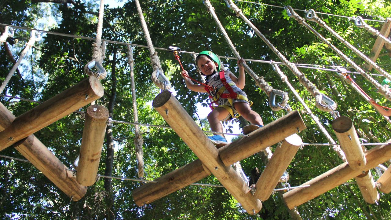 treetop adventure tamborine