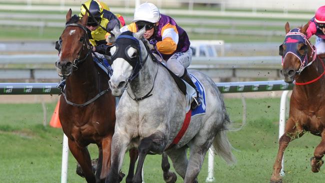 Steel Zip (grey horse) wins for Jeff Lloyd at Doomben on September 19. Photo: Grant Peters, Trackside Photography