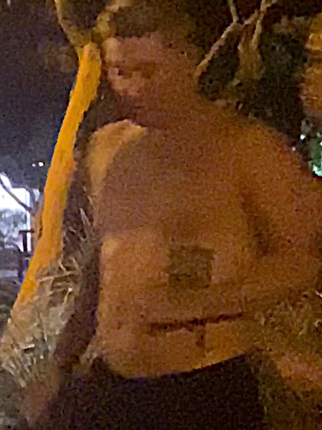 The former cricketer was topless during the altercation. Picture: The Daily Telegraph