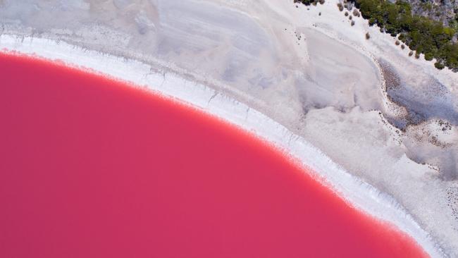 62/71Lake Hillier, Esperance - Western Australia
A fly-over is definitely the best way to appreciate this bubble gum pink lake on Middle Island, out on the Recherche Archipelago. Picture: Tourism Western Australia