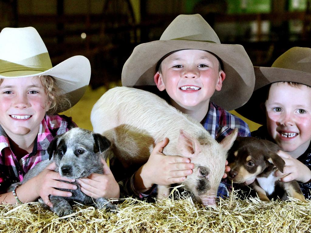 &lt;h2&gt;Animal attractions&lt;/h2&gt;The Animal Nursery was introduced in 1964 and is still one of the most popular attractions with puppies, ducks, lambs and many more. Rubi, 9, James, 7, and Rory Greenup, 6, of Kingarory, sneak an early peek. Pic: Steve Pohlner