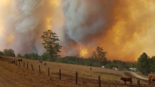 A fire was burning at Paddys Flat while Mr Davis and his alleged victim were on deployment to Northern NSW from South Australia.