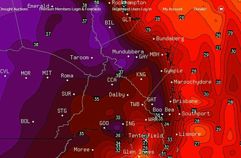 SCORCHER FRIDAY: The map above shows Gympie will bear the brunt of some hot weather which is set to break a four year record. Picture: Higgins Storm Chasing