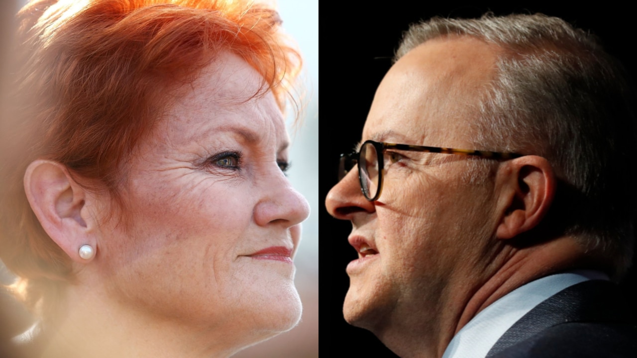 ‘Stand up Albo’: Anthony Albanese ‘disgusts me’ says Pauline Hanson