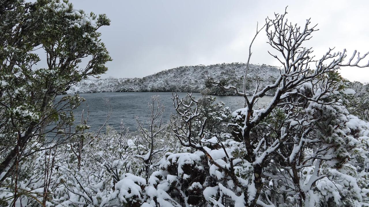 Snow at Hartz Mountain on Monday, June 20, 2023. Photo: Karen Bone