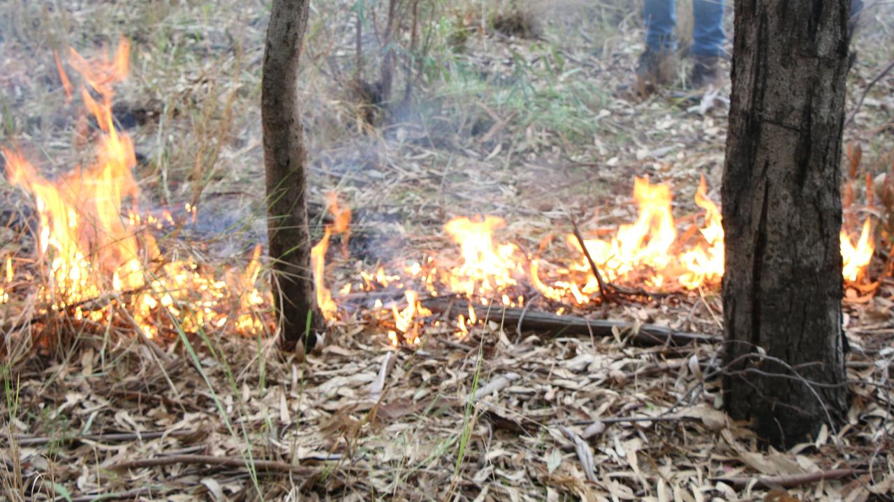 Loss Of Aboriginal Cultural Burning Leaves Australia’s Forests ...