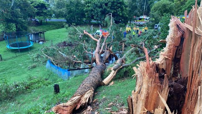 A woman is lucky to be alive after a tree fell on the caravan she was sheltering in during last night’s storms. Picture: CareFlight