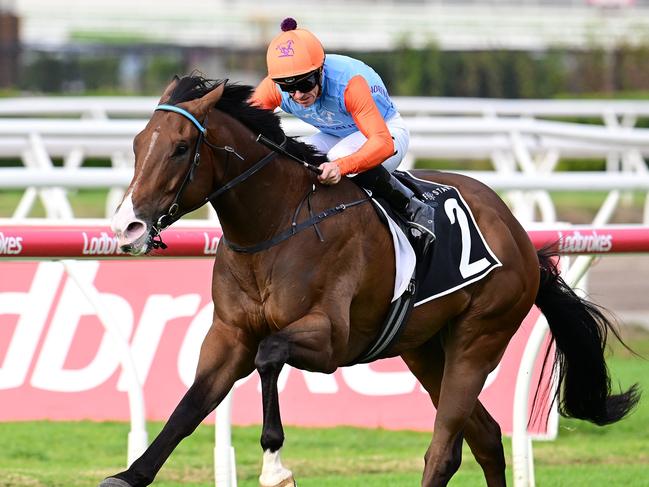 Rob Heathcote-trained sprinter Prince Of Boom confirms his spot in the Stradbroke Handicap by scoring the Moreton Cup at Eagle Farm under jockey Tim Clark. Pictures: Grant Peters, Trackside Photography