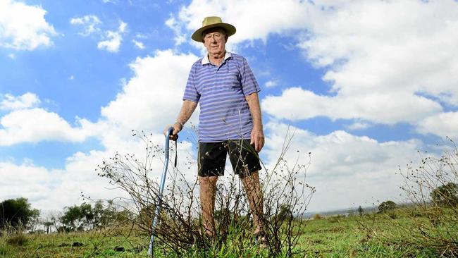 BATTLE: 87-year-old Haigslea farmer Reg Grieve is concerned about the spread of fireweed on his property. Picture: David Nielsen