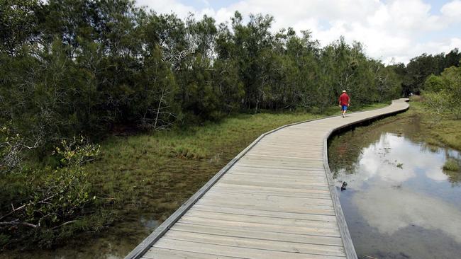 The Beree Badalla wetland reserve has lots of animal spotting to offer.