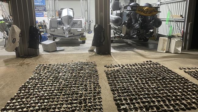 Illegal abalone haul seized by Fisheries NSW. If there's any file pics of fisheries officers out on patrol or anything that would be great too. Picture: Supplied