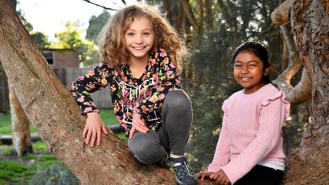 Eloisa Tilbury (9) and Rita Vontimitta (8) pose for a photo in the trees at Asquith Park, Sydney, Wednesday, July 11, 2018. Pic: AAP Image/Joel Carrett