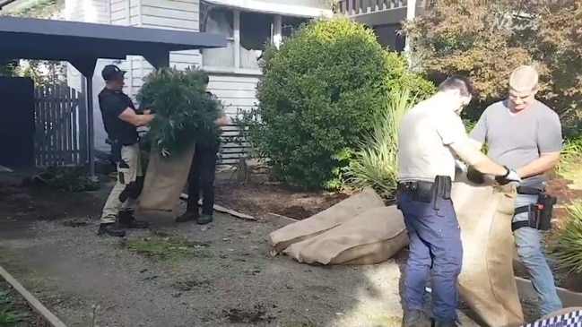 $2 Million cannabis drug raid in Ringwood, VIC