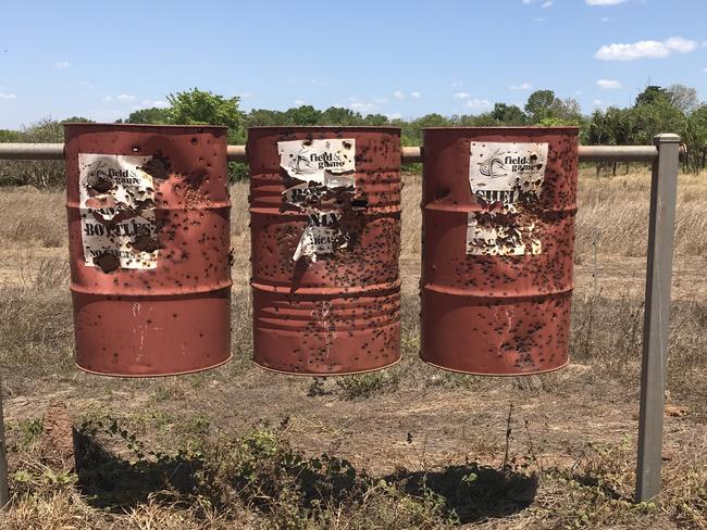 NT Parks and Wildlife staff are having to replace rubbish bins shot up by thoughtless vandals amongst all their other myriad tasks. Picture: SUPPLIED