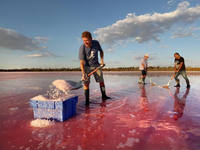 Richard Seymour with his father Neil Seymour and Adrian Morgan harvesting pink salt from Pink Lake in Dimboola Victoria. Picture: David Geraghty