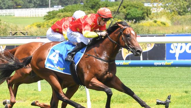 High Octane won the Blue Diamond Preview for colts and geldings on debut at Caulfield last month when ridden by Mark Zahra. Picture: Brett Holburt/Racing Photos via Getty Images