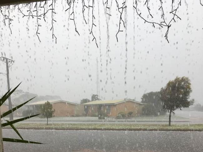 Hail smashes Cleve. Picture: Julie Minge
