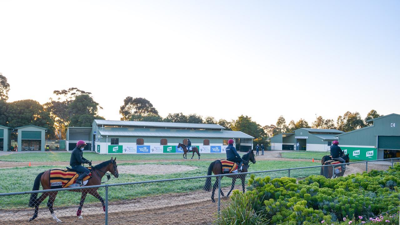 Spring Racing Carnival Werribee Trackwork