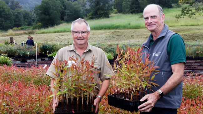 Friends of the Koala Nursery Opening with Friends of the Koala's Mark Wilson and FNPW’s Patrick Medley.