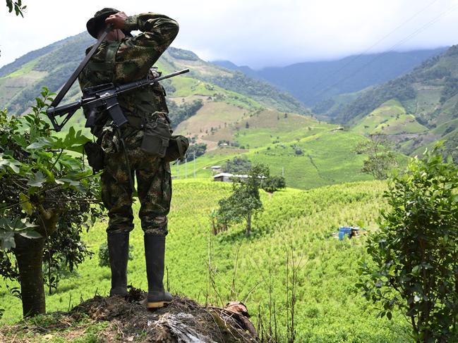 A member of the Carlos Patino front of the dissident FARC guerrilla patrols next to coca crops in Micay Canyon. Picture: AFP