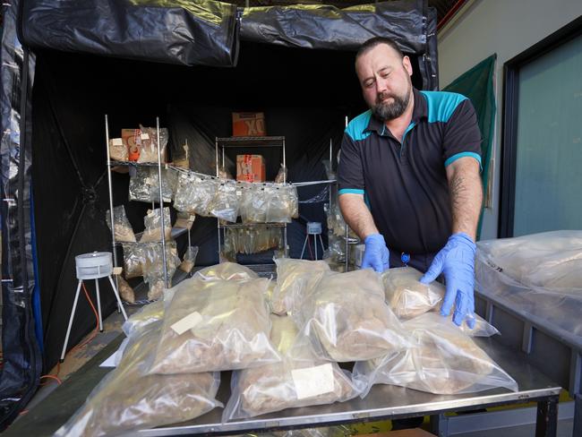 The haul of MDMA is the biggest in Queensland history.