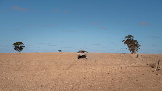 Farmers in many parts of South Australia are at breaking point as the worst drought on record ravages the area. Picture: Brad Fleet