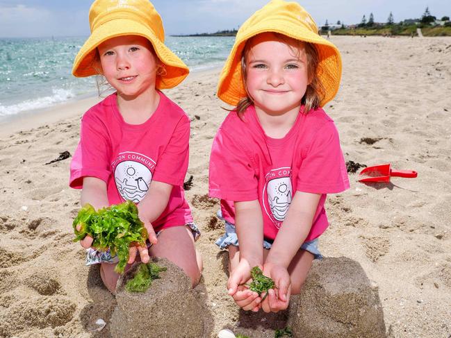 Nora and Harper with their sandcastles and seaweed at beach kinder at Hampton Beach Picture: Brendan Beckett