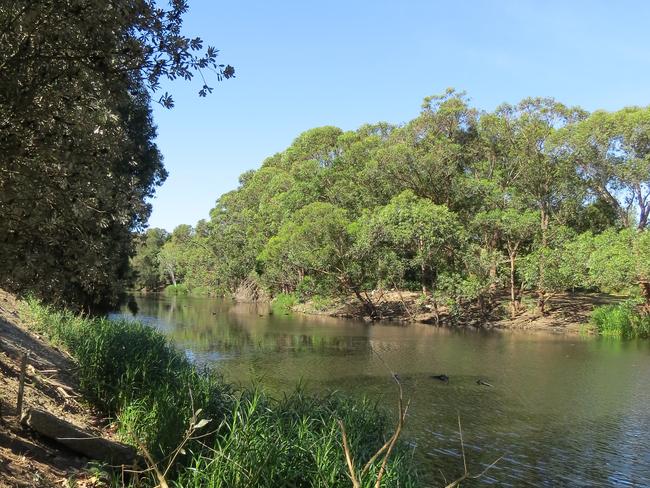 Bicentennial Park is a great place to go to feed the ducks.