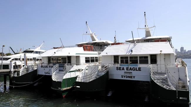 The mothballed jetcat fleet at Mort Bay, Balmain. Photo News Corp