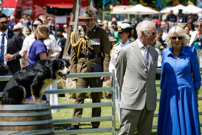 Britain’s King Charles III and Queen Camilla view a sheep dog demonstration as they attend the Premier's Community BBQ in Sydney