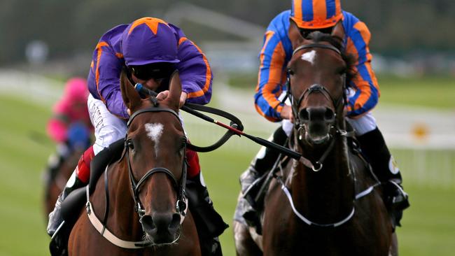 Wicklow Brave, left, has good form around one-time Melbourne Cuop favourite Order Of St George this season.