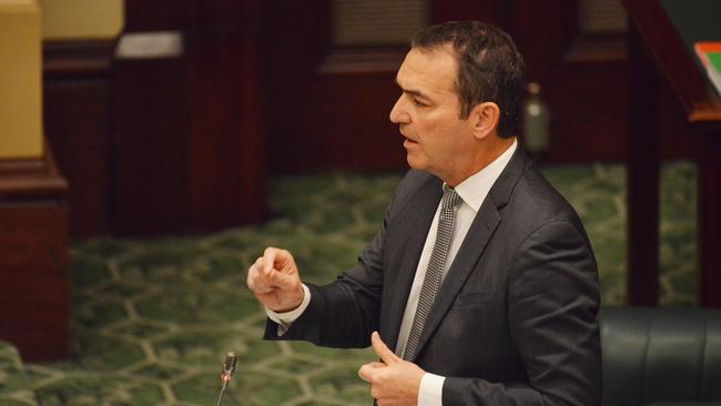 Opposition Leader Steven Marshall in Question Time.