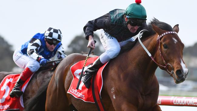 Brad Rawiller steers Mount Kilcoy to victory at Sandown. Picture: Getty Images