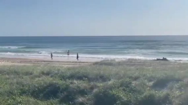 Search for missing Gold Coast swimmer