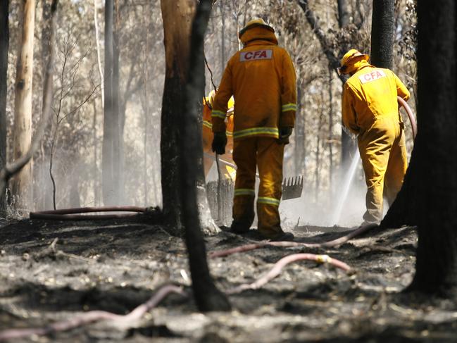 CFA strike team firefighters black out smouldering tree trunks on Friday, Feb. 27, 2009, after the Musk Vale-Hogans Road blaze near Daylesford which started earlier in the week. Firefighters have been driving around blackened forest areas around the famed spa town, blacking out areas which they fear could flare up again in worsening weather conditions. (AAP Image/Simon Mossman) NO ARCHIVING, INTL OUT