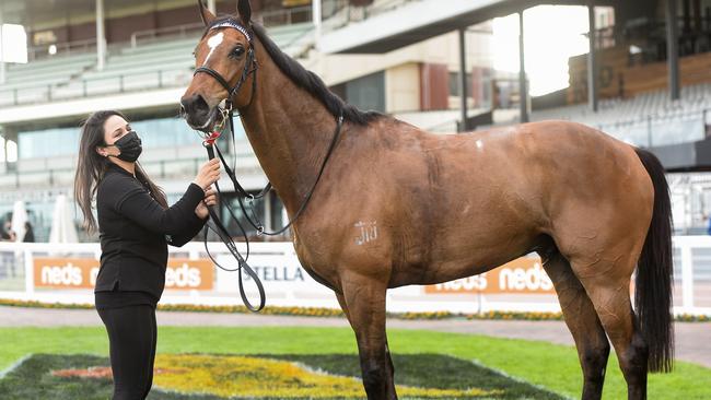 Chapada after winning the final race at Caulfield. Picture: Getty Images