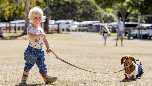 Aurelia Primus, 2, with Frankie at Paws at the Park held at Mudgeeraba showground on Sunday. Picture: Jerad Williams