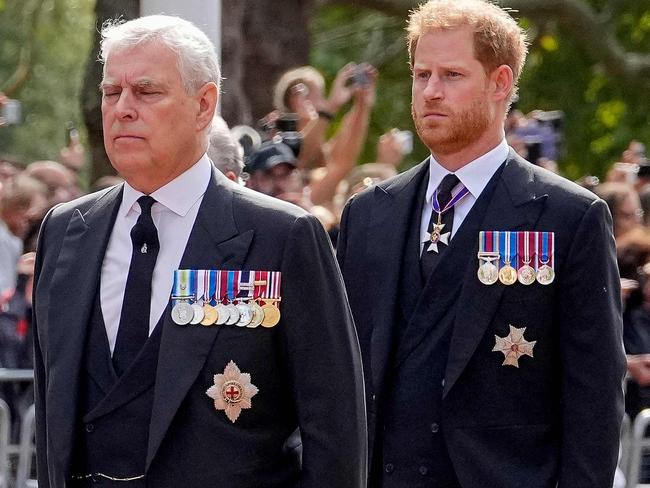 Both Prince Andrew, Duke of York (L) and Prince Harry, Duke of Sussex wore their military medals despite not being able to wear military uniforms. (Photo by Martin Meissner / POOL / AFP)