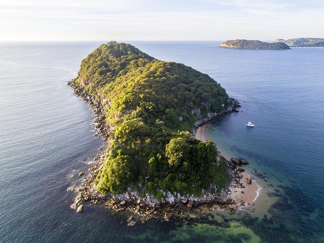 Lion Island by Reed Plummer.