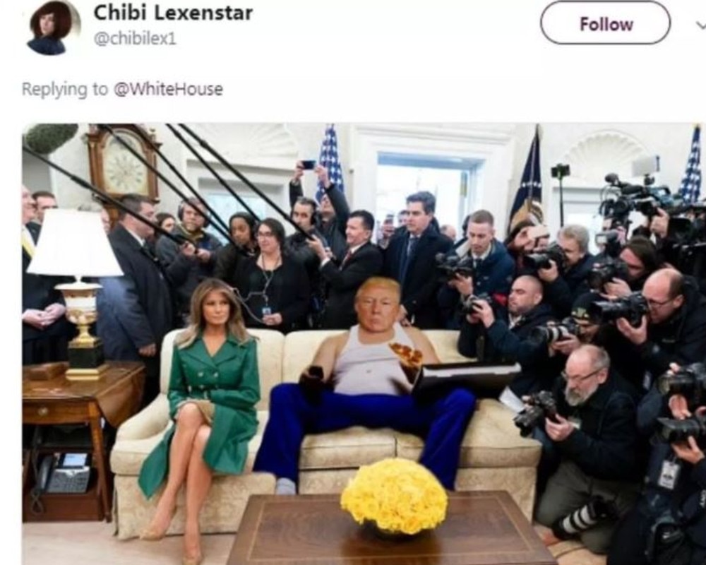 The White House birthday photo of FLOTUS has spawned an array of amusing memes. 