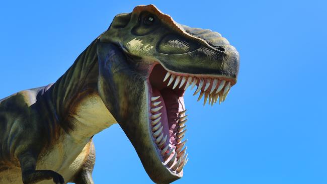 Creationist preacher Ken Ham claims bone marrow will prove dinosaurs ...