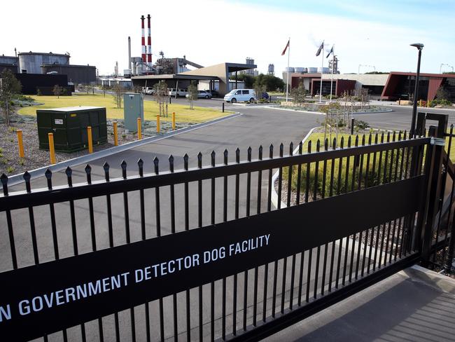 The Australian Government Detector Dog Facility in Banksmeadow. Picture: Sam Ruttyn