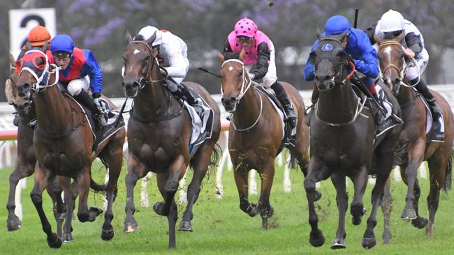 There is a shortage of jockeys, horse breeders and racehorse trainers in NSW. Picture: AAP Image/Simon Bullard