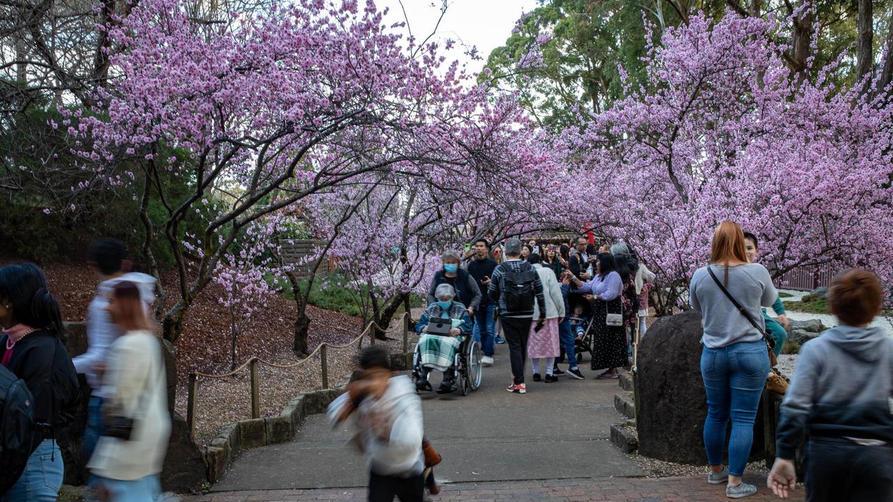 Visitors were required to book tickets so the paths didn’t get too crowded. Picture: Christian Gilles