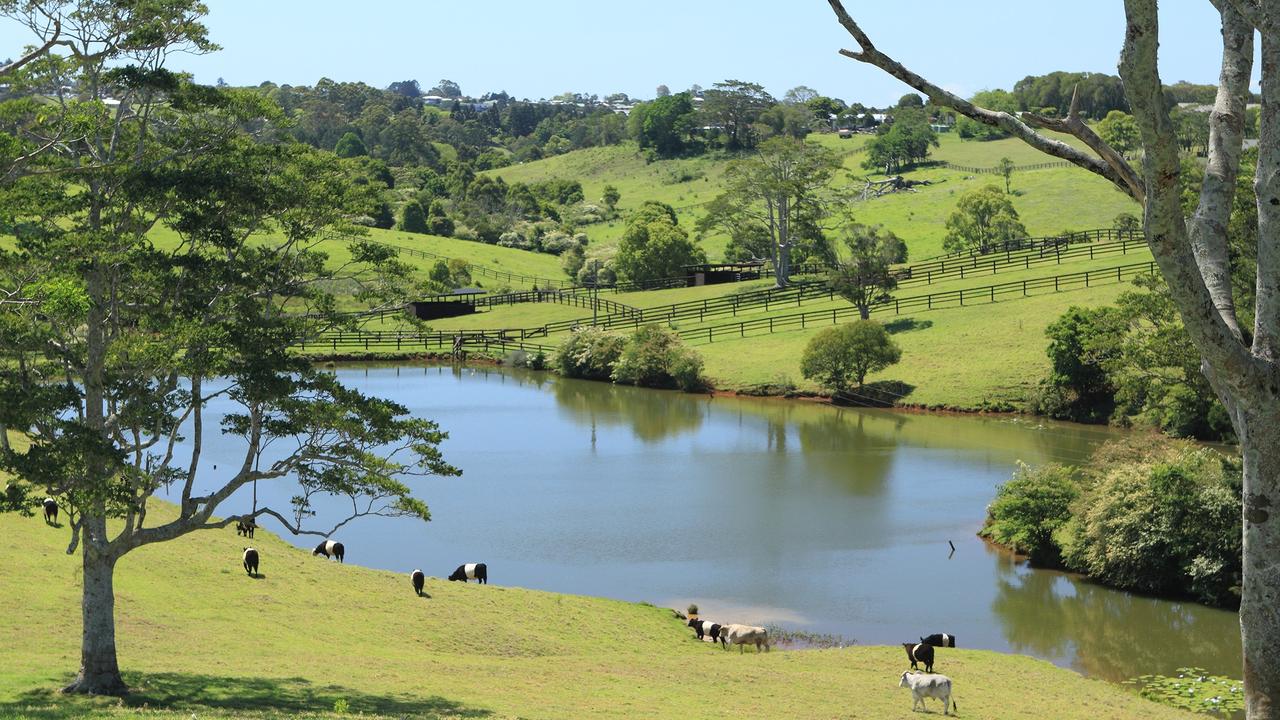 One of Australia's finest equestrian properties, Montana Park, Maleny.