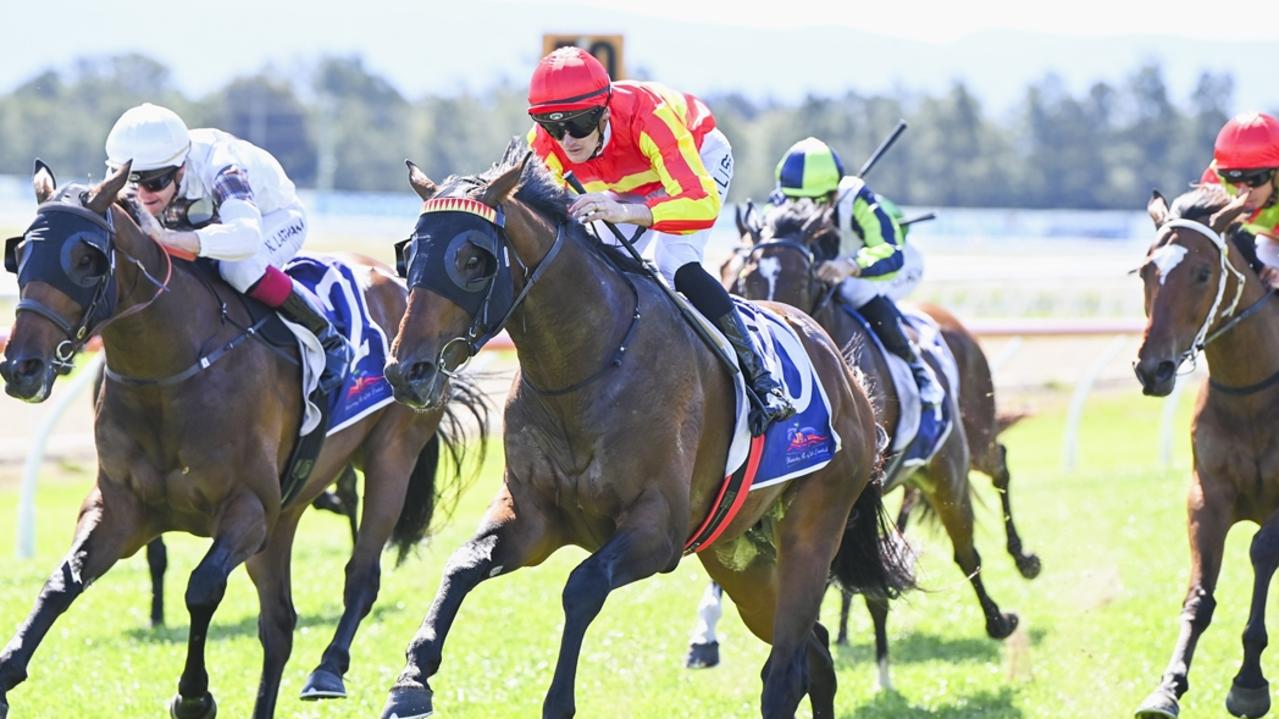 Bluebird Bay can bounce back to winning form at Newcastle. Picture: Bradley Photos