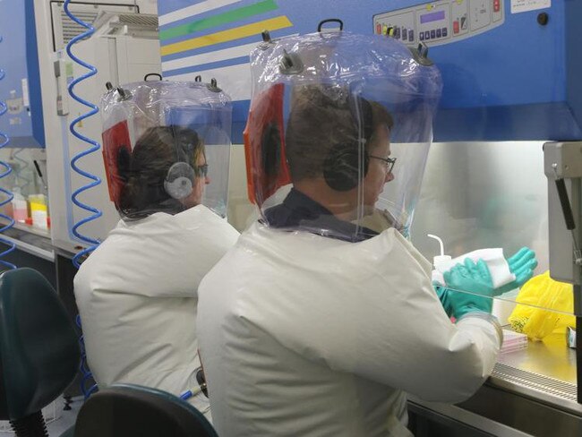 CSIRO scientists working on the virus which causes the new strain of the coronavirus. Picture: CSIRO