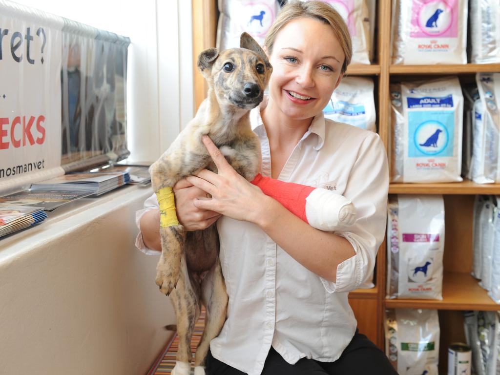 Millie with vet Dr Abbie Tipler.