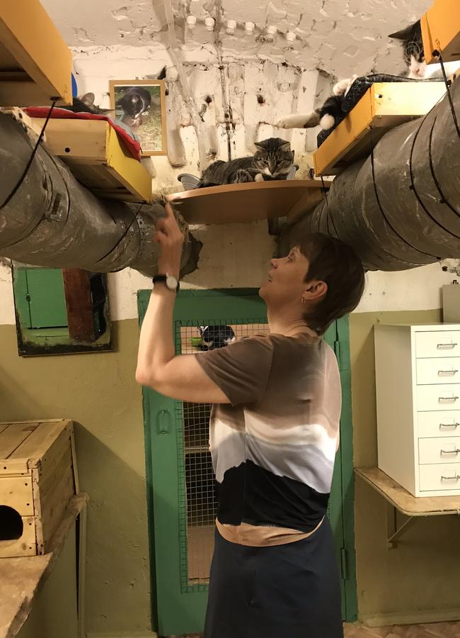 Maria Haltunen, secretary to the director of The State Hermitage Museum in St Petersburg, Russia, says hello to one of the 70 cats that live in the basement of the museum. Picture: Elizabeth Fortescue